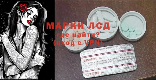 сатива Пролетарск