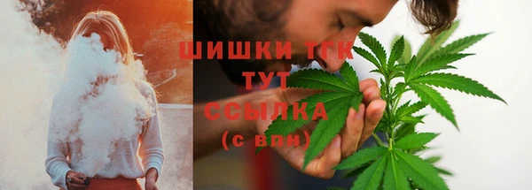 сатива Протвино