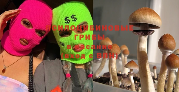 дурь Верхний Тагил